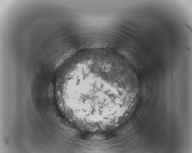 X0000100220303200806201514