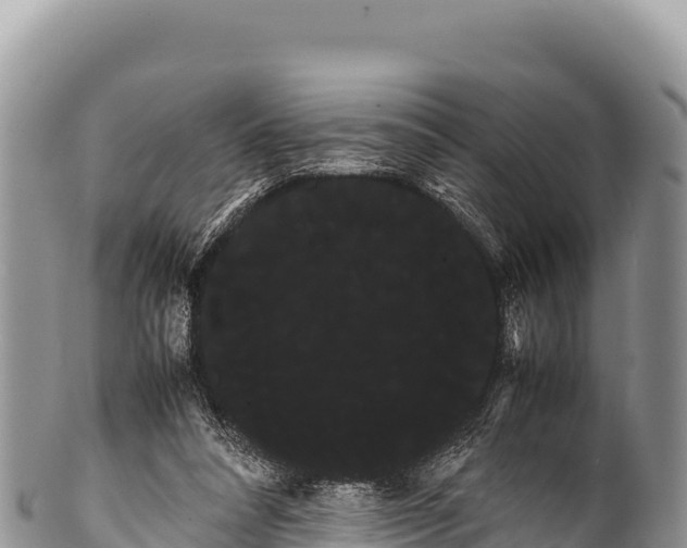 X0000100220304200806201514