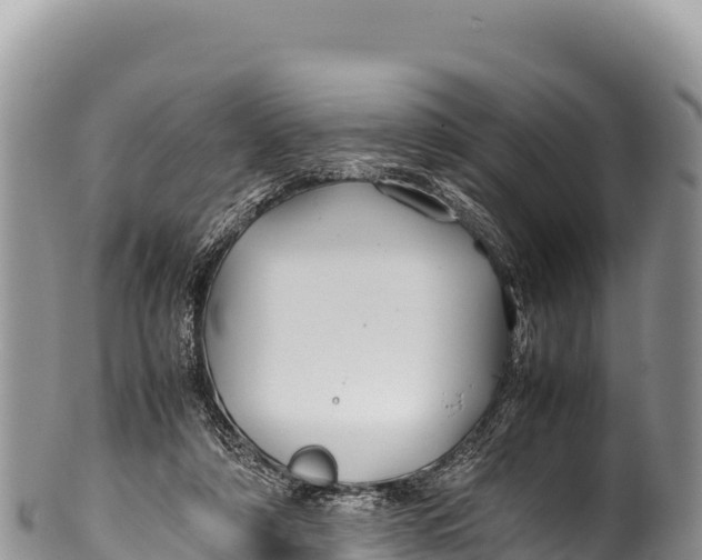 X0000100220306200806201514