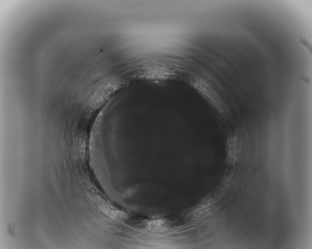 X0000100220309200806201514