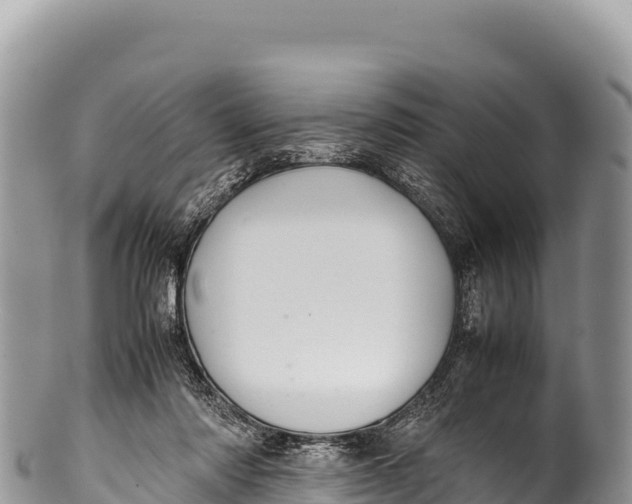 X0000100220310200806201514