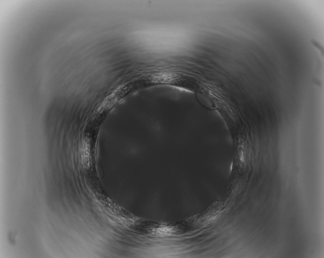 X0000100220312200806201514