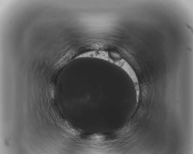 X0000100220313200806201514