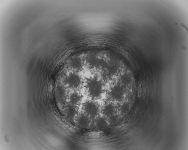 X0000100220314200806201514