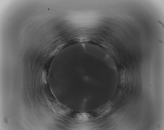 X0000100220316200806201514