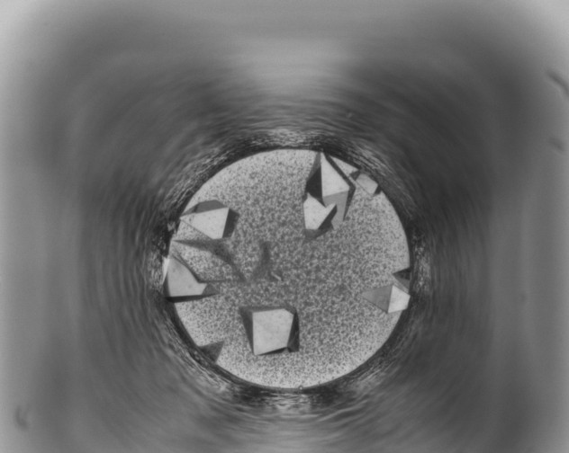 X0000100220317200806201514