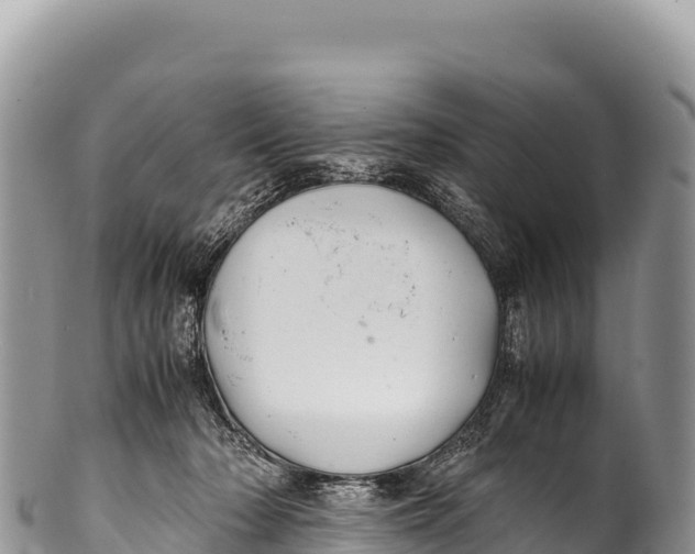 X0000100220318200806201514