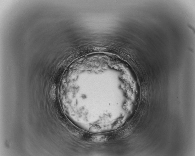 X0000100220319200806201514