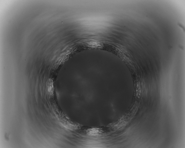 X0000100220320200806201514