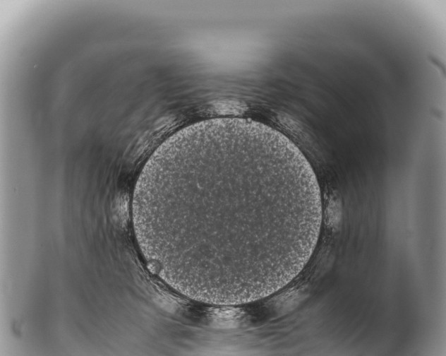 X0000100220321200806201514