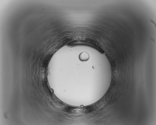 X0000100220323200806201514