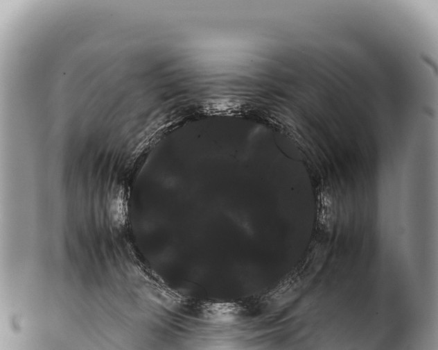 X0000100220324200806201514