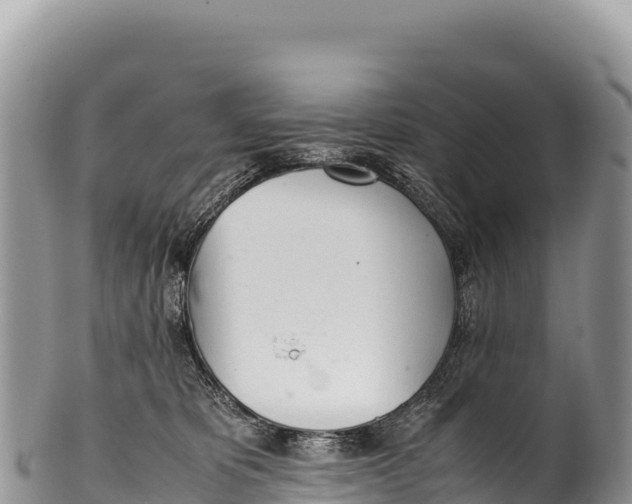 X0000100220325200806201514