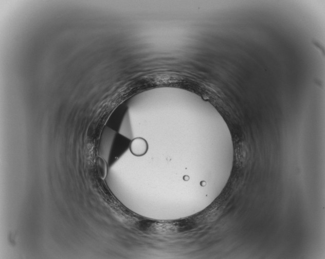 X0000100220327200806201514