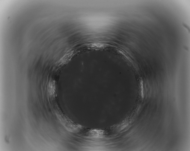 X0000100220328200806201514