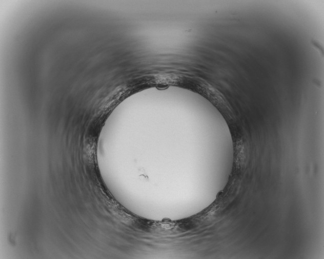 X0000100220329200806201514