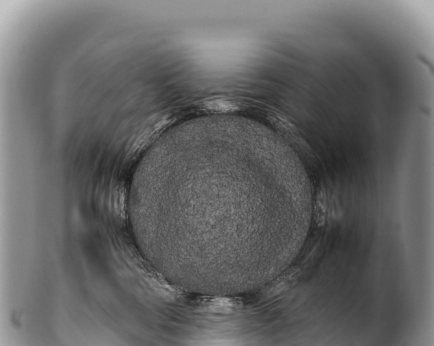 X0000100220330200806201514