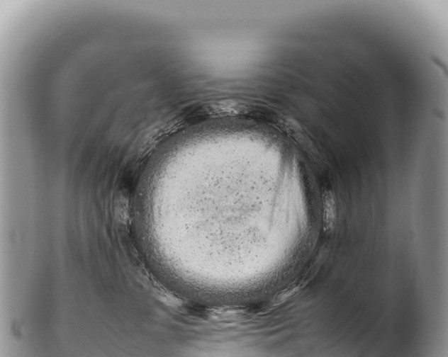 X0000100220331200806201514