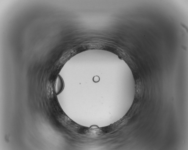 X0000100220333200806201514