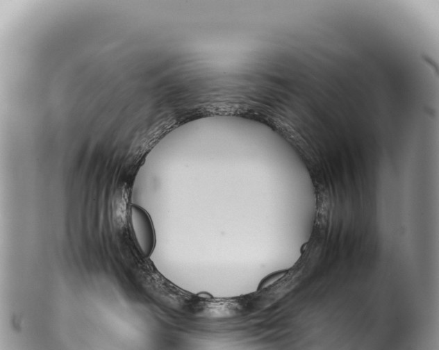 X0000100220334200806201514