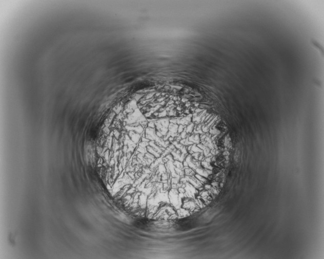 X0000100220335200806201514