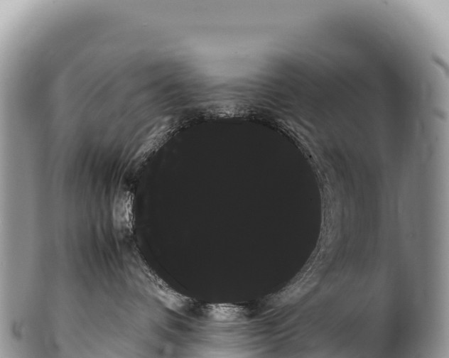 X0000100220336200806201514