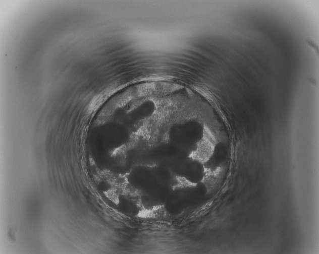 X0000100220337200806201513