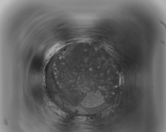 X0000100220339200806201513