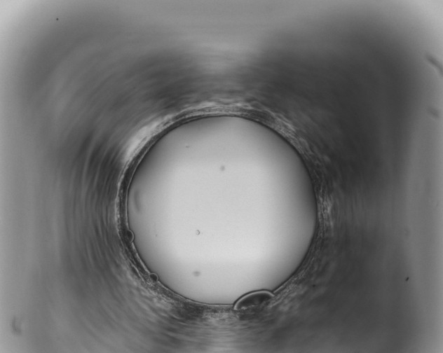 X0000100220340200806201513