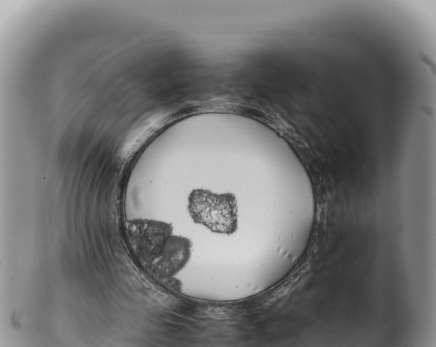 X0000100220341200806201513