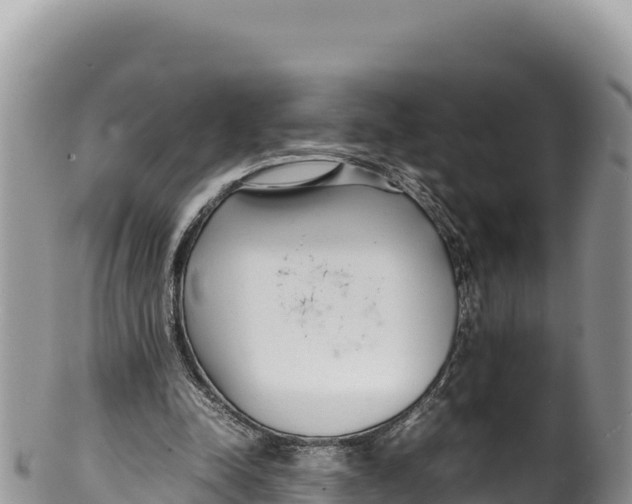 X0000100220342200806201513