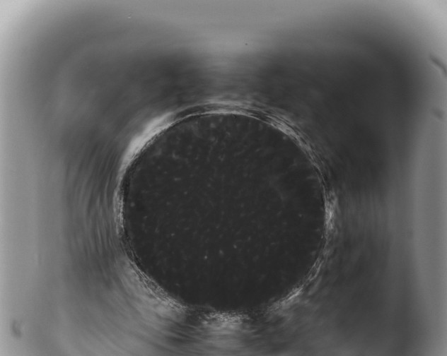 X0000100220343200806201513