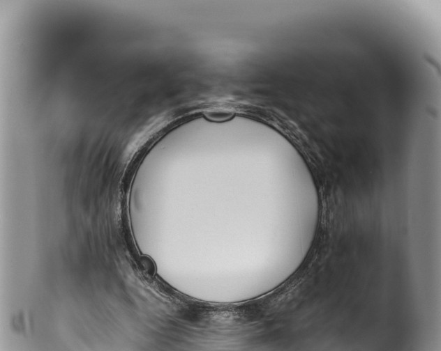 X0000100220344200806201513