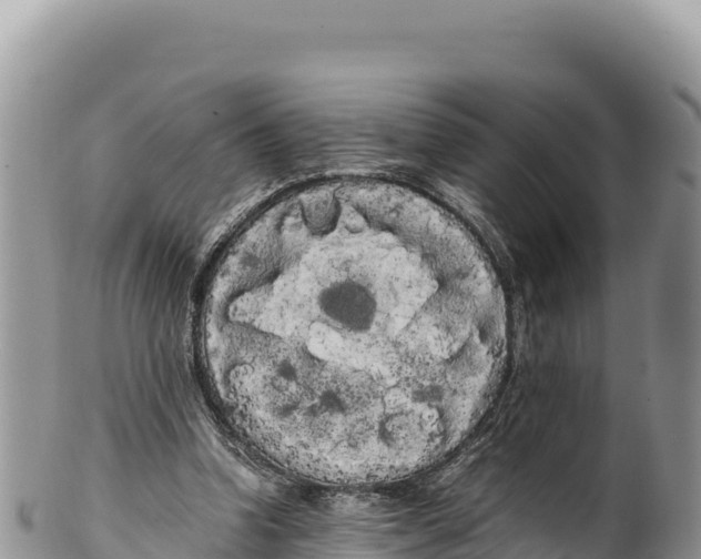 X0000100220346200806201513