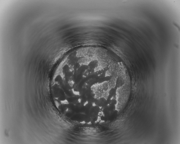 X0000100220347200806201513