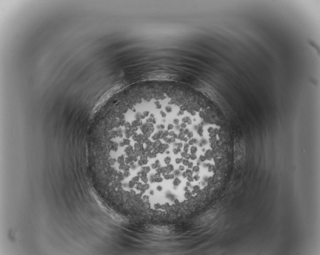 X0000100220349200806201513