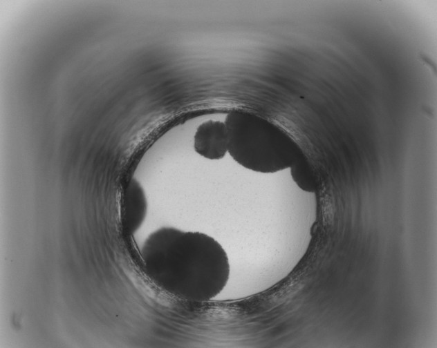 X0000100220350200806201513