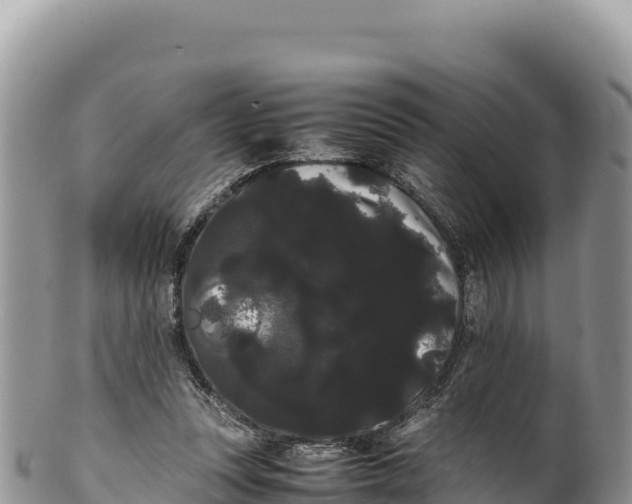 X0000100220351200806201513