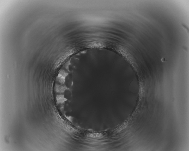 X0000100220353200806201513