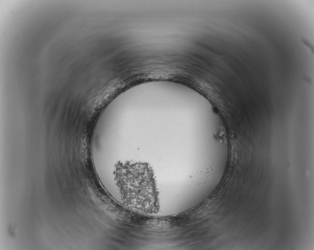 X0000100220354200806201513