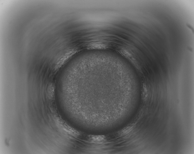 X0000100220355200806201513