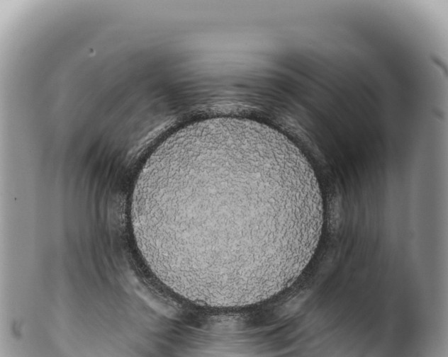 X0000100220356200806201513