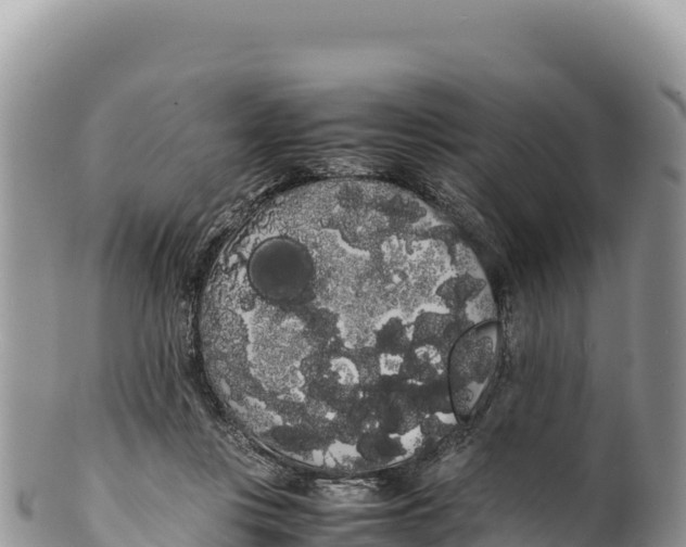 X0000100220359200806201513