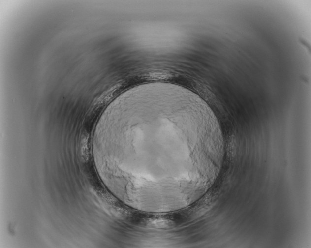 X0000100220360200806201513