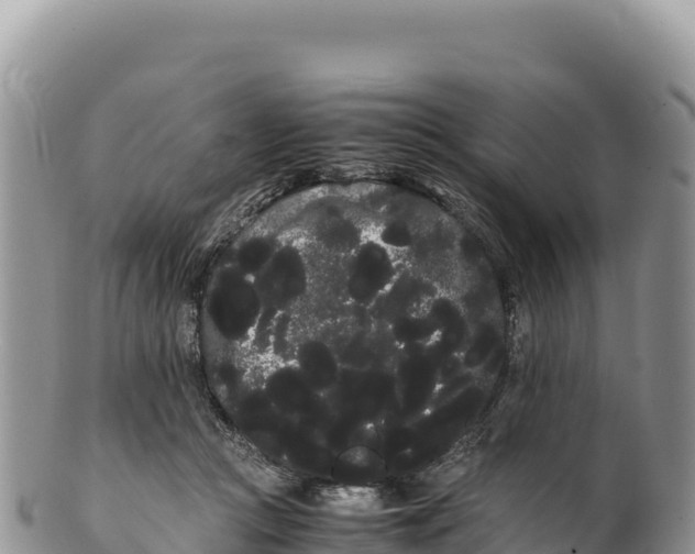 X0000100220361200806201513