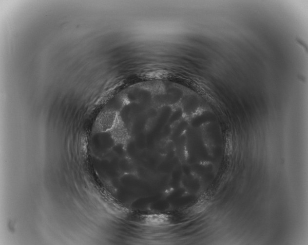 X0000100220363200806201513