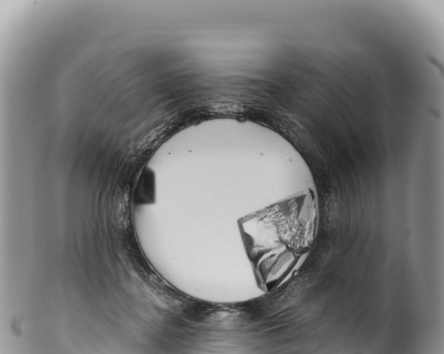 X0000100220364200806201513