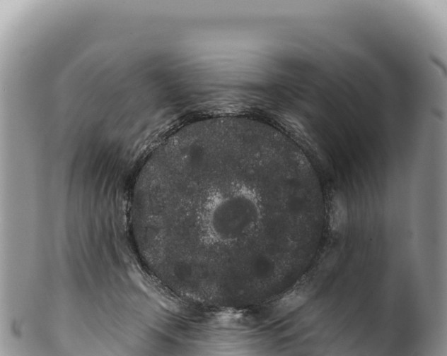 X0000100220366200806201513