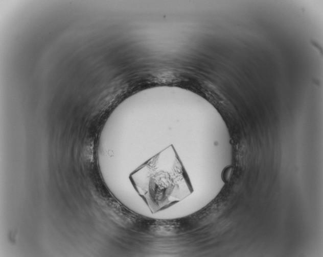 X0000100220368200806201513