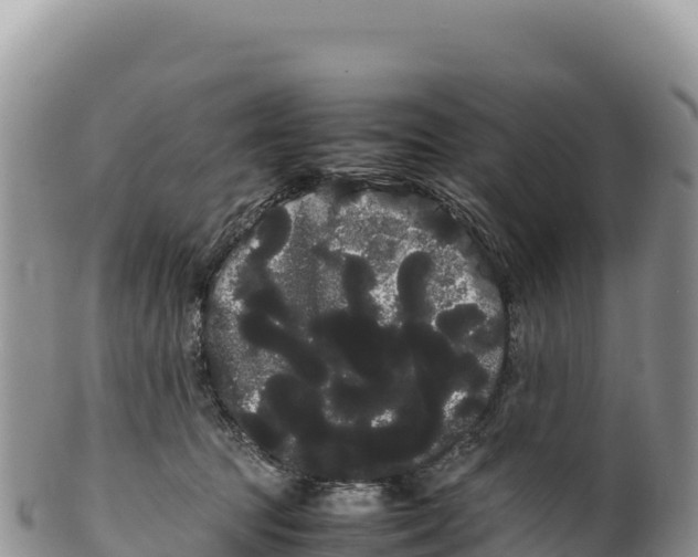 X0000100220369200806201513